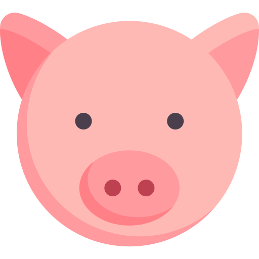 pig